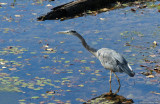 D3-100810-439.jpg