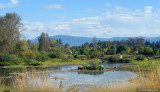 D3-100810-501.jpg