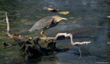D3-100810-592.jpg