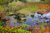 D700-101810-016.JPG