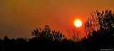 D700-102010-001