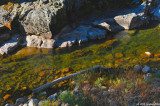 D700-102010-101
