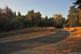 D700-102110-021.JPG