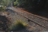 D700-102110-064.JPG