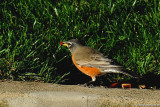 D700-102110-147.JPG