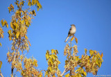 G1-102210-058.JPG