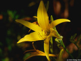 G1-102210-103.JPG
