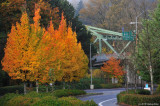 D3-102910-027.jpg