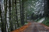 D3-112010-037.jpg