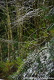D3-112010-055.jpg
