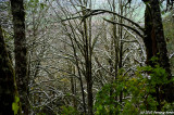 D3-112010-056.jpg