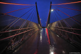 The New Delta Ponds Footbridge