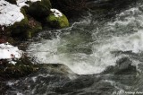 D700-120210-470.JPG