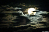 Moon In A Bed Of Clouds