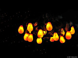 Yummy Looking Lights