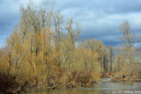 D3-012811-009.jpg