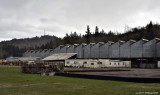D5000-020711-004.jpg