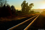 In The Direction of the Rising Sun