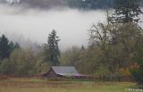 Barn and fog
