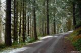 D2x2005-12-03_292