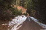 McGowan Creek Road