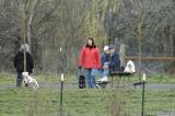 Things are jumping at the dog park