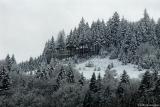 Hillside home