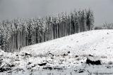 Manmade tree line
