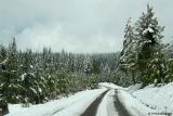 The road to be traveled