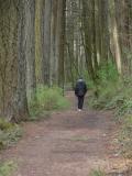 He walks the trail daily