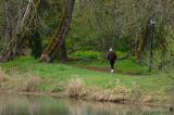 Walking on the trail