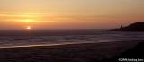 D2x2006-05-13_190.jpg