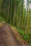 D2x2008-02-11_024
