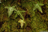 D2x2008-02-25_223.jpg