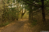 D2x2008-02-29_049.jpg