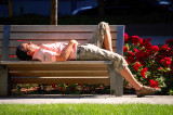 Sleeping on a bench !