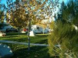 Lurchie parked at Terribles RV Park