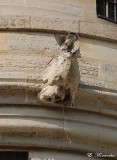 Elle se pose sur une gargouille et se soulage. Chaud dessous !