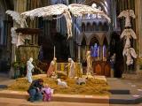 Good tidings of great joy<br>27 December 2005 (102)