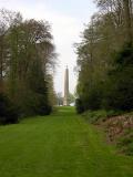 Fir Walk