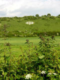 Distant Devonshire