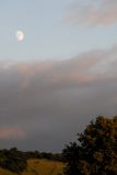 The moons...