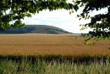 Towards Chiselbury...