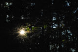 In the woods