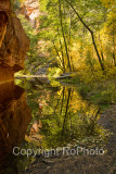 08-10 Oak Creek West Fork Tunnel 4.JPG