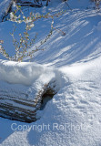 08-12 Shelter in Snow and Ice 02.JPG