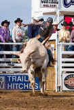 06-07 Rodeo 25.jpg