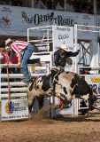 06-07 Rodeo 30.jpg