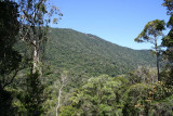 Andohahela NP, Parcel 1, Managotry , 2-5 XII 2007 1.JPG