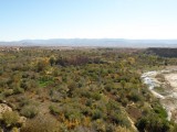 orchards along the river, looking toward the Djebel Sarhro